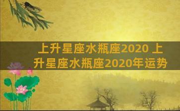 上升星座水瓶座2020 上升星座水瓶座2020年运势